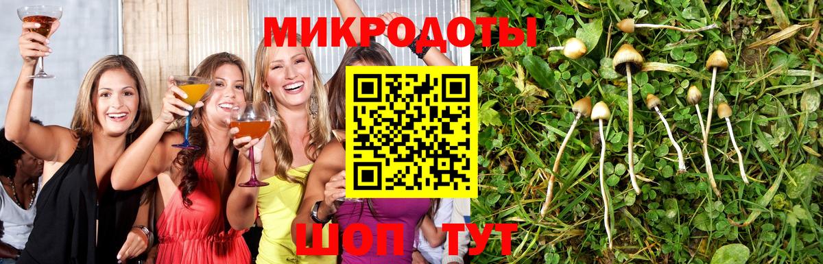 Псилоцибиновые грибы мицелий Вязники