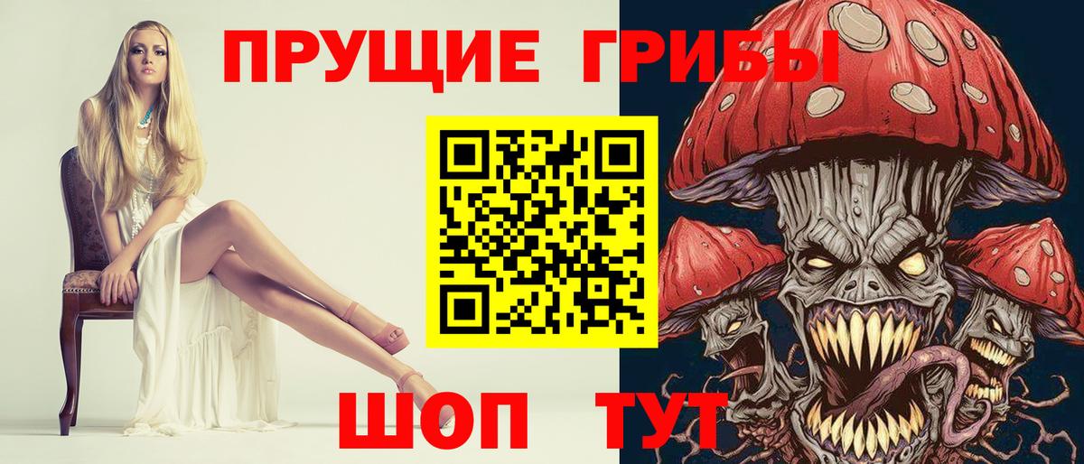 купить   Галлюциногенные грибы мицелий  Вязники  Вход с VPN  Галлюциногенные грибы мухоморы 